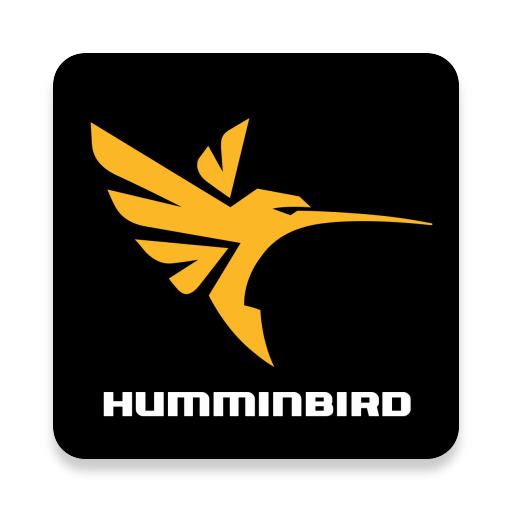 HUMMINBIRD – Chaddy Boys