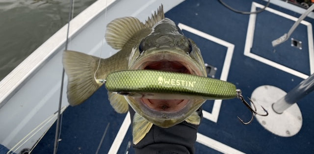 Forespar MF 843 Vented Loop 5-8