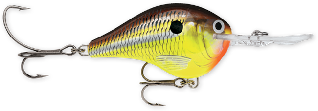 Rapala DT Series 3-8 Hot Mustard