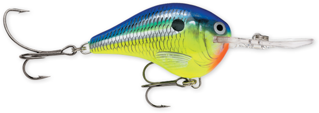 Rapala DT Series 3-8 Parrot