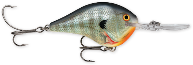 Rapala DT Series 3-4 Blue Gill