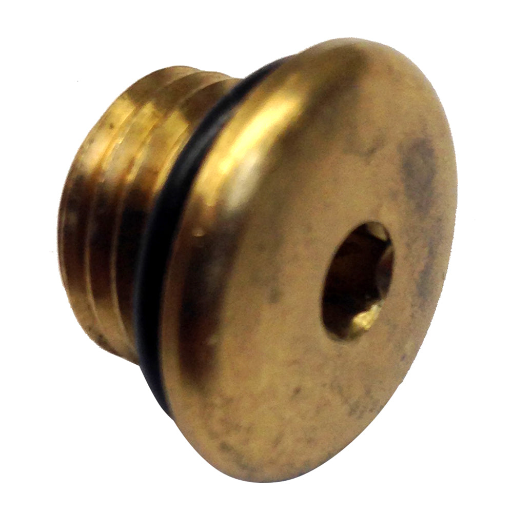 Uflex Brass Plug w-O-Ring for Pumps